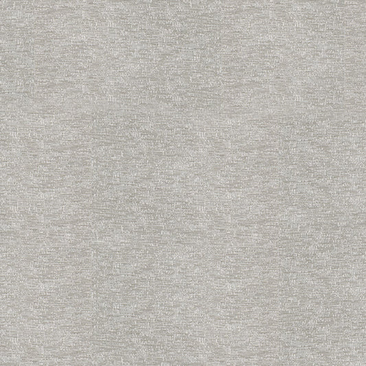 Silver Grey cassette color swatch