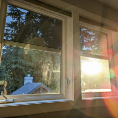Sunlight streaming through two windows with trees outside.
